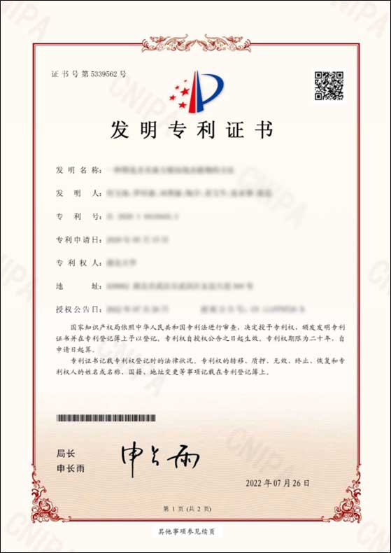 一种XXXXX及其制备方法